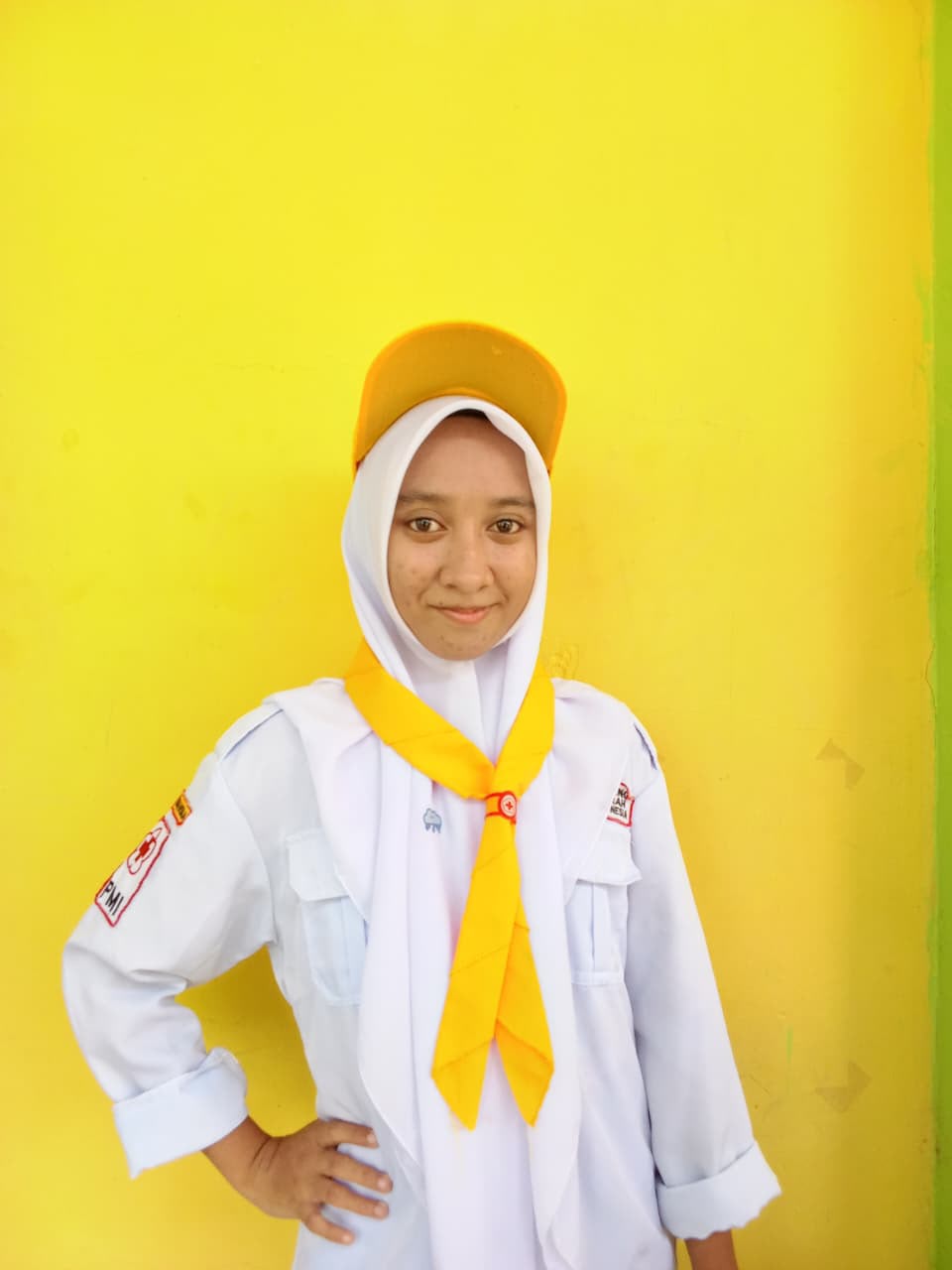 ANISA HASAN